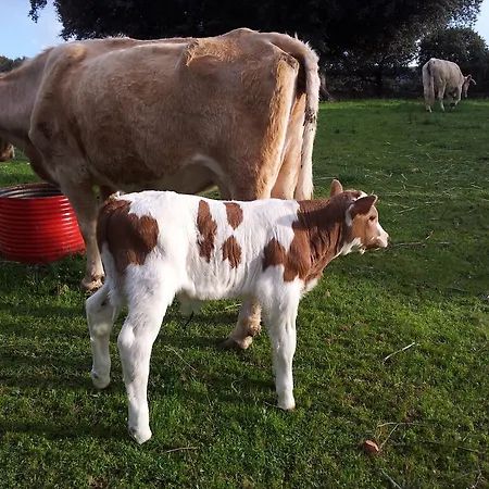 Holiday home Salva *