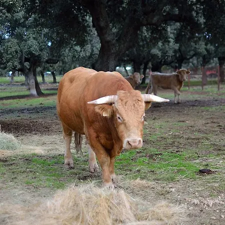 Holiday home Salva *