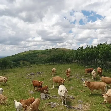 Holiday home Salva *