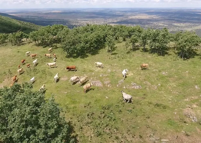 Tatil Evi Salva La Rinconada de la Sierra